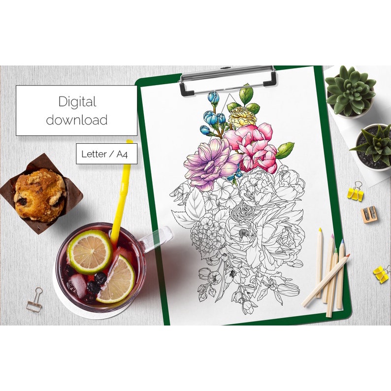 line art tranh tô màu nước (combo5tranh ) giấy dầy đẹp
