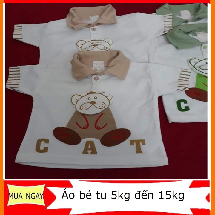 Áo phông cộc tay chất cotton siêu mát-htcbikini