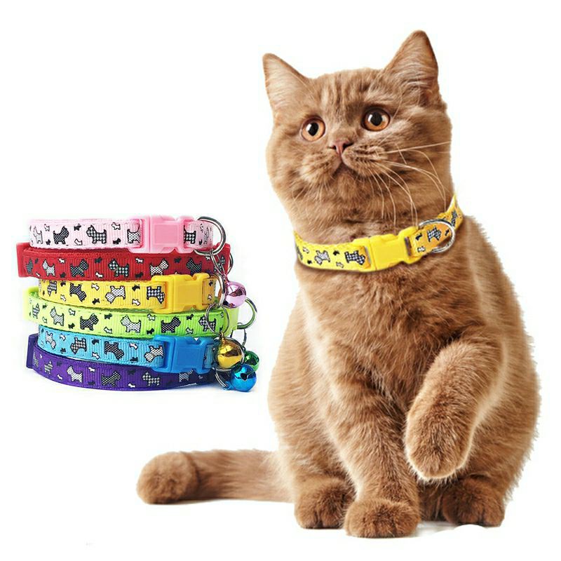 💫💫VÒNG CỔ CHO CHÓ MÈO