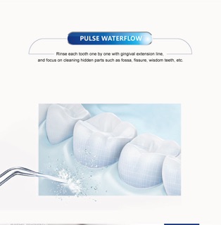 Máy tăm nước Waterpulse V400
