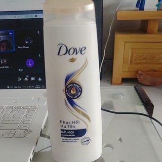 Dầu gội dove 340g