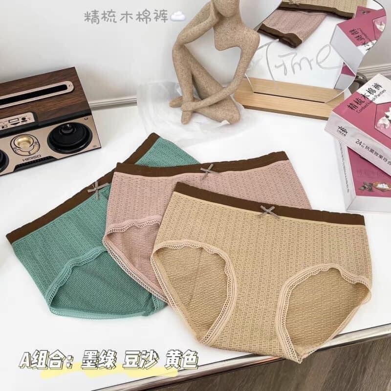 Combo 10 Quần Lót Thông Hơi Cotton 3313, Quần Lót Thông Hơi