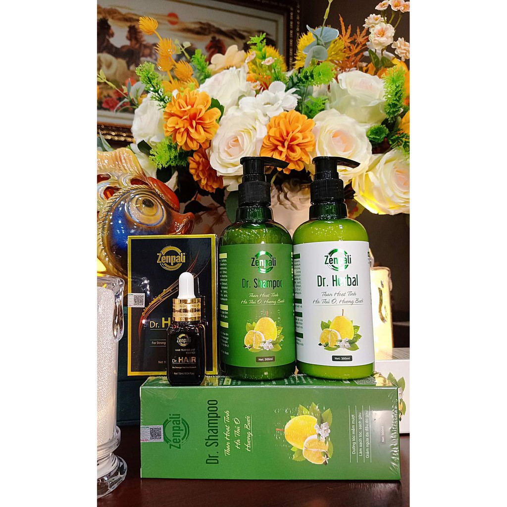 Bộ Dầu Gội Xả Dr Shampoo  + Tinh Chất Kích Mọc Tóc Dr Hair Zenpali - Kích Mọc Tóc,Giảm Gãy Rụng Dr Hair