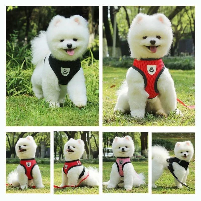 Yếm Ngực Chó Mèo - Dây Dắt Chó Kèm Yếm Ngực Chó Mèo Đi Dạo