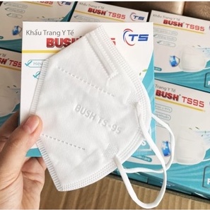 &lt;CHÍNH HÃNG CÔNG TY&gt; KHẨU TRANG Y TẾ BUSH TS95 - HỘP 10 CÁI