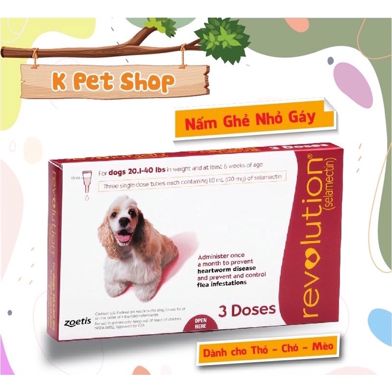 Nấm Ghẻ Nhỏ Gáy  FREE SHIP  Thỏ,Bọ,Sóc, Chinchilla,Chó,Mèo...