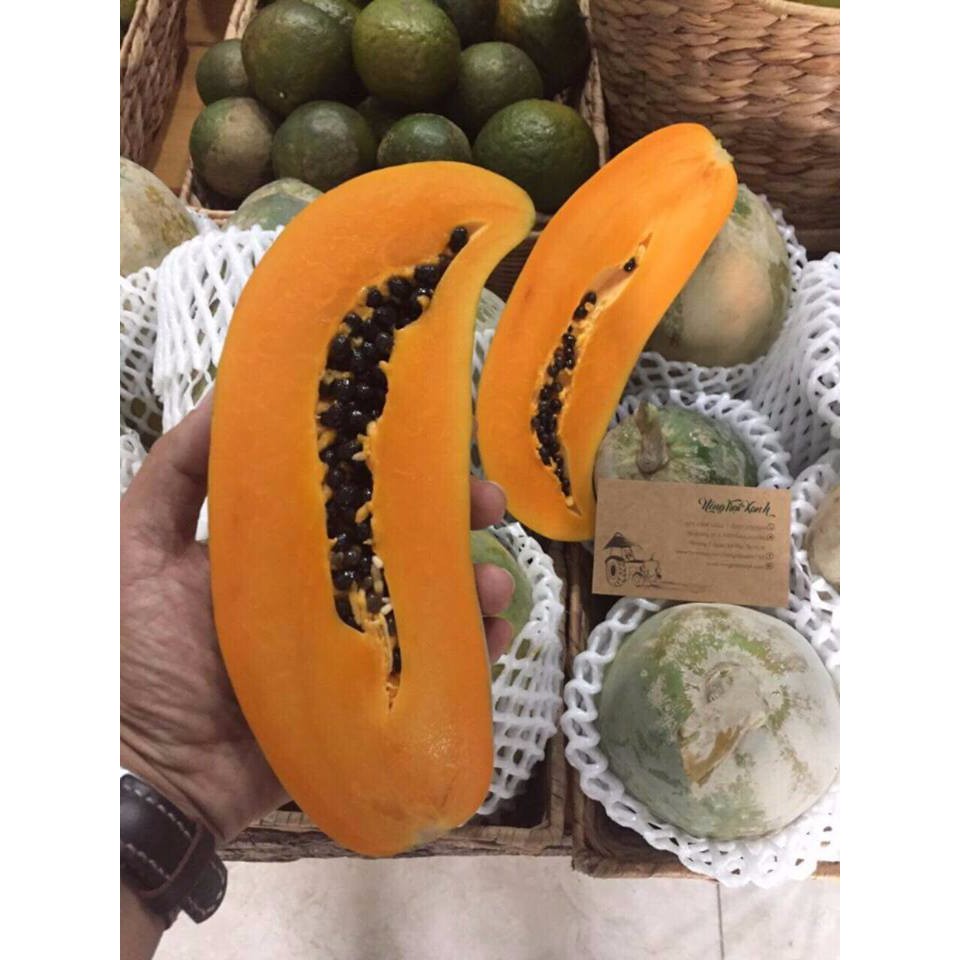 Hạt giống đu đủ siêu ngọt Thái Lan - gói tầm 120 hạt