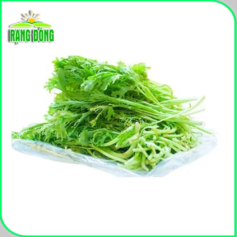 Hạt giống Cải Bẹ Xanh Đuôi Phụng trồng quanh năm, sinh trưởng tốt (gói 20gr) - Hạt giống Rạng Đông