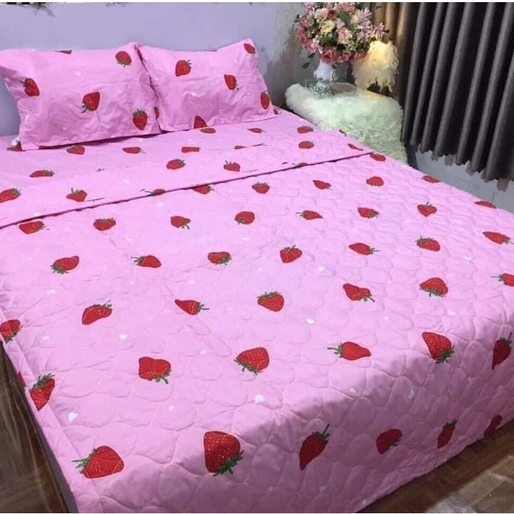 Chăn Hè Cotton Poly Trần Bông 3 Lớp Hàng Loại 1