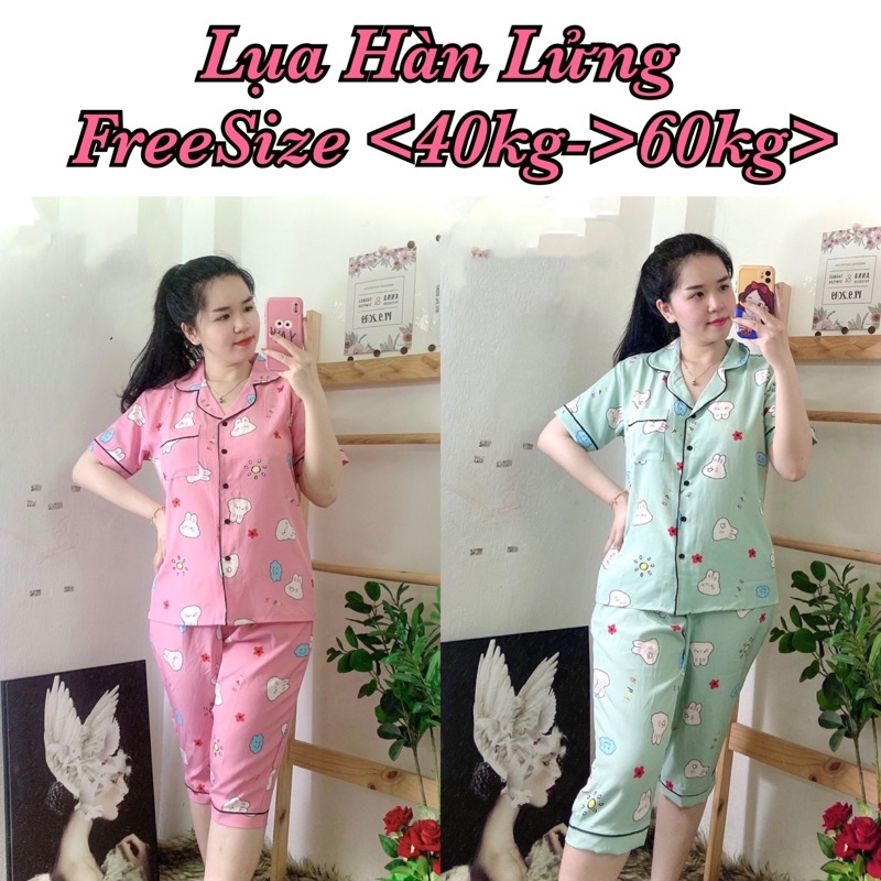 ( Freesize Lụa ) Đồ Bộ Pijama Lụa  - Tay Ngắn Quần Lửng