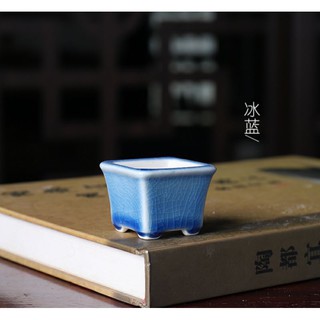 chậu bonsai siêu mini tráng men