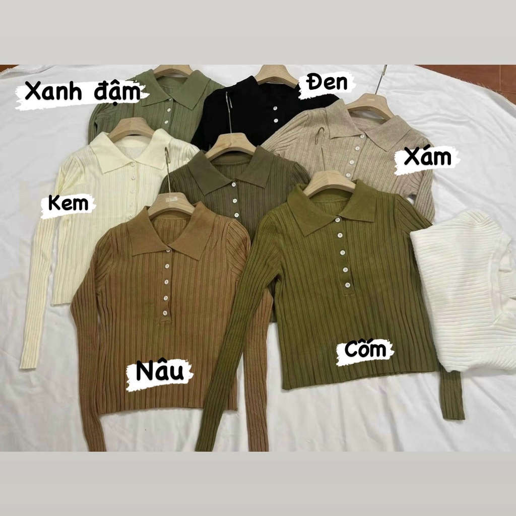 Áo polo len tăm co giãn hàng Quảng Châu, áo len co giãn