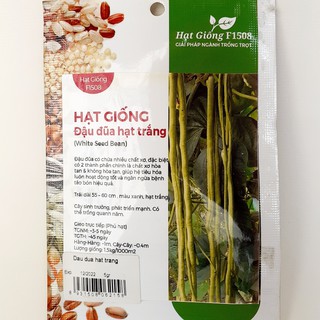 Hạt giống đậu đũa