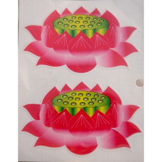 Decal hoa sen dán tường,dán xe,trang trí