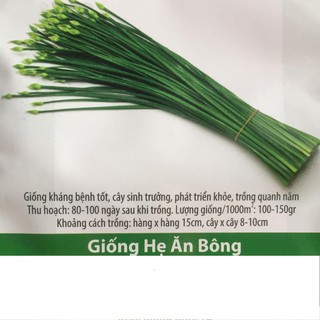 Hạt Giống Hẹ Ăn Bông Dễ trồng 1gr