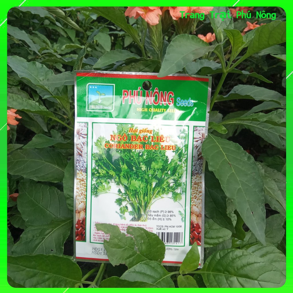 Hạt giống Ngò Bạc Liêu Phú Nông- Gói 20g - Coriander Bac Lieu