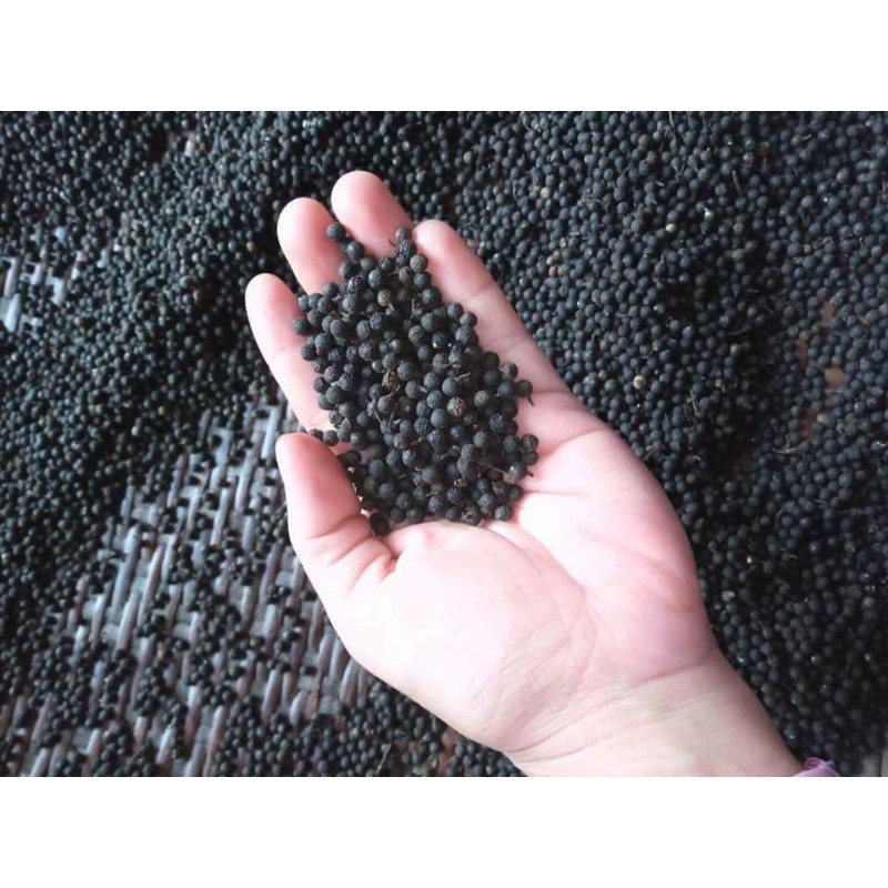 [Mã 156FMCGSALE hoàn 8% đơn 500K] HẠT TIÊU RỪNG CỰC THƠM HẤP DẪN[100g]