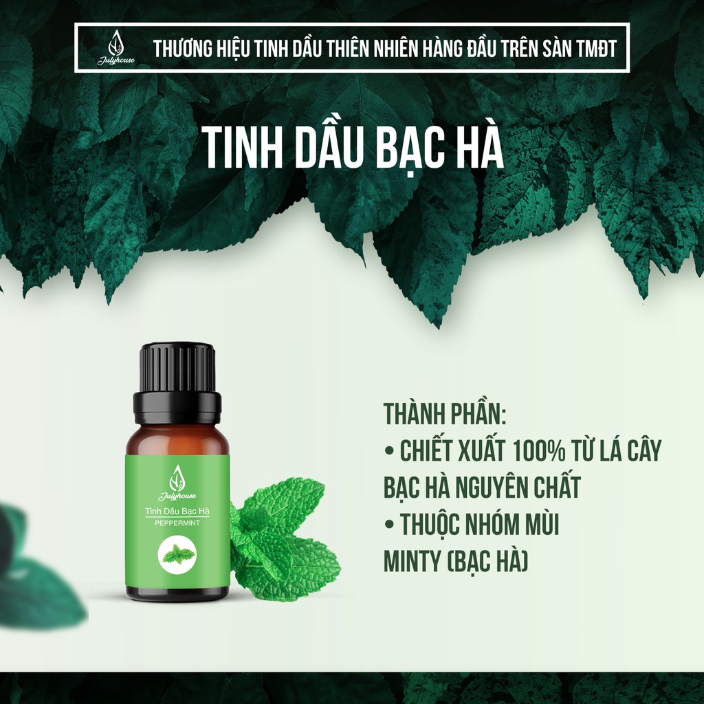 Tinh dầu Bạc Hà thơm phòng, giúp tập trung 30ml JULYHOUSE