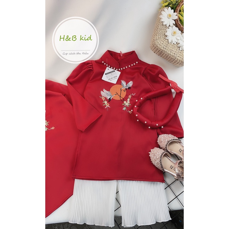 Áo dài lụa bé trai có thêu hình Hạc siêu đẹp cho bé diện tết  ADCT