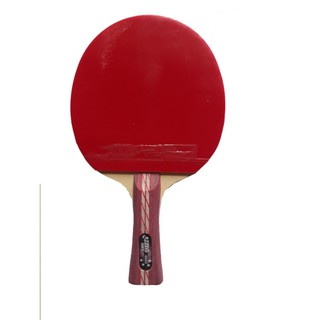Vợt Bóng Bàn DHS 4002