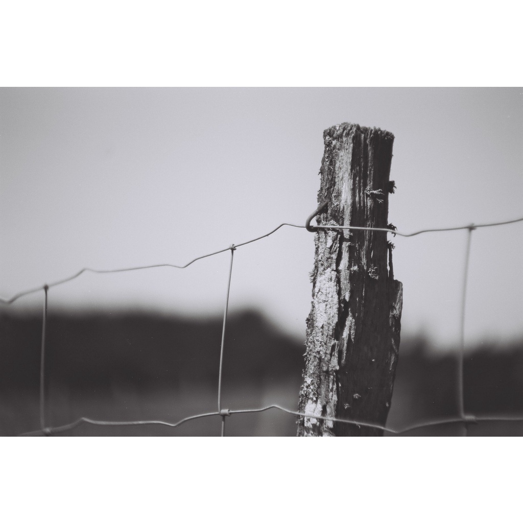 Phim Lomography Fantome Kino ISO 8, Đen Trắng B&W, 135/35mm x 36 Kiểu, Out Date Nhẹ Cho Máy Chụp Ảnh Film - LIIQ Flash