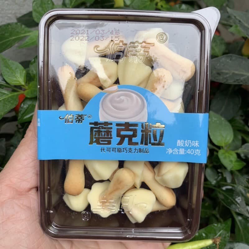 [Cực ngon - Sale ]  Bánh quy Socola hình cây nấm vị Matcha / Socola / Việt quất / Bơ sữa / Dâu tây khay 40gr