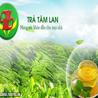  Trà túi lọc lá cây