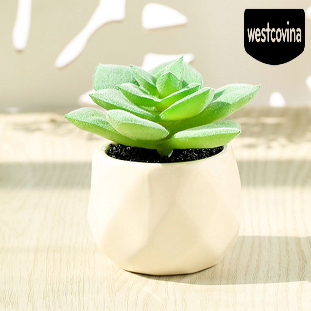 [Hot]☀ Chậu Cây Bonsai Giả Nhiều Tầng Trang Trí Nhà Cửa