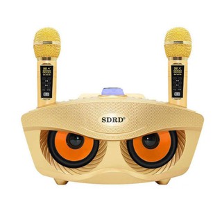 Loa karaoke bluetooth SD 306 Plus - Loa mắt cú nâng cấp