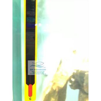 Nhiệt kế dán hồ cá Sera