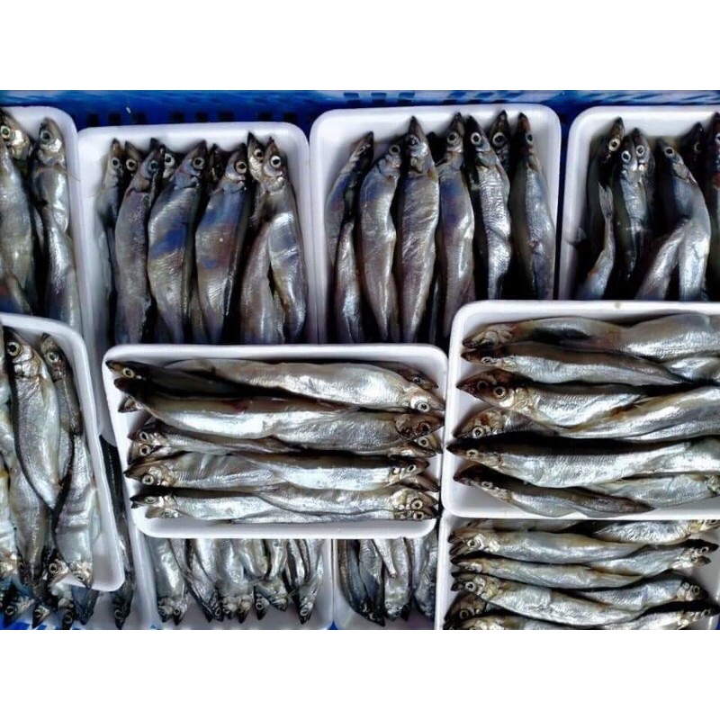 0,5kg Cá Trứng Nauy