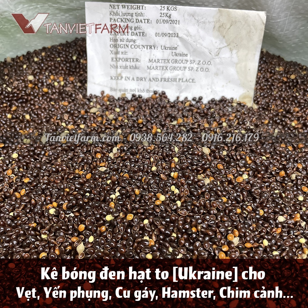 [Gói 1Kg] ⚡ Hạt kê bóng đen ⚡ cho Gà, Vẹt, Chim cảnh, Hamster ⚡loại lớn ⚡nhập khẩu Ukraine