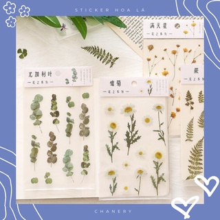 Miếng sticker hoa lá Mocard trong suốt trang trí sổ tay, điện thoại