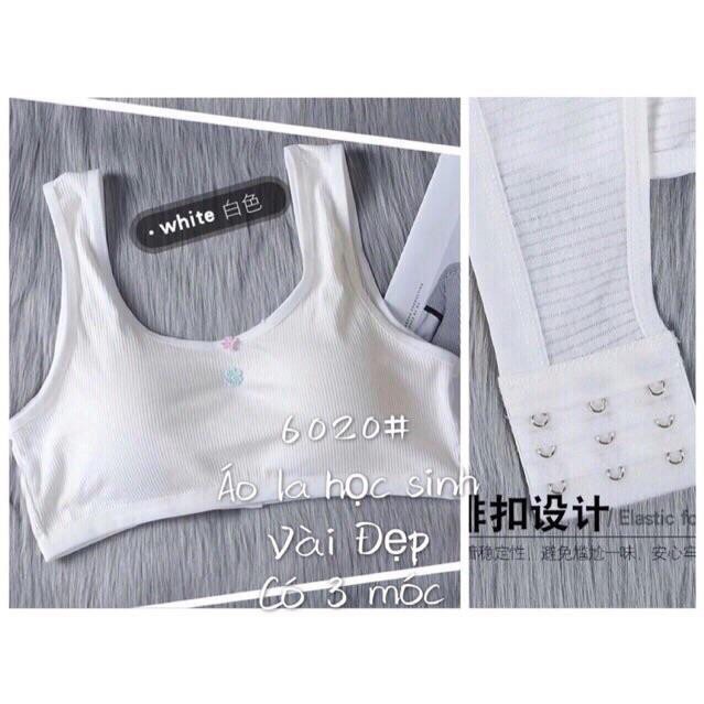 Bra áo lót ngực học sinh có móc cài sau dễ thương MÃ 6020