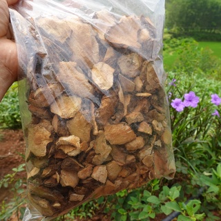 Khúc Khắc khô Bắc Giang loại đẹp (sâm thổ phục linh)
