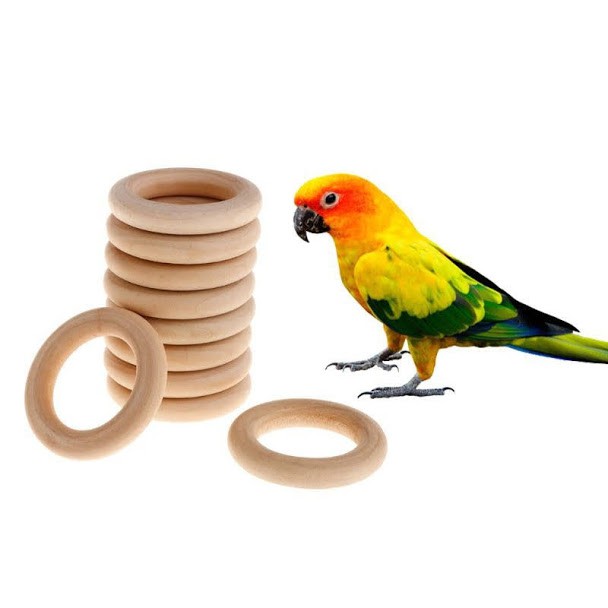 Đồ chơi 10 vòng gỗ tự nhiên cho vẹt