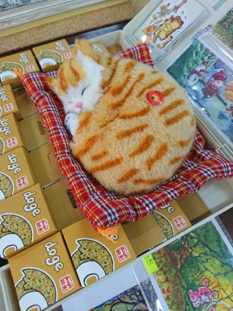 [thú bông] Mèo con đang ngủ dùng để trang trí