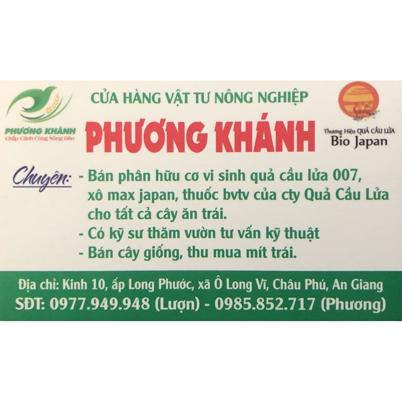 Bộ đôi nuôi trái mít nhỏ. Hàng chính hãng Quả Cầu Lửa