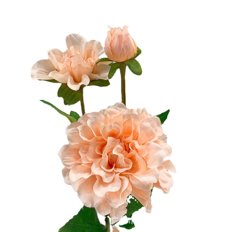 Cành hoa mẫu đơn trà trang trí nhà cửa, tiệc cưới chất liệu lụa mềm siêu giống thật