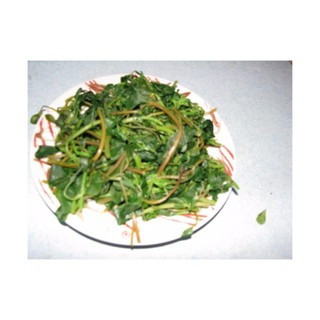 Hạt giống Rau Sam Phú Nông (PN132667) - 2g