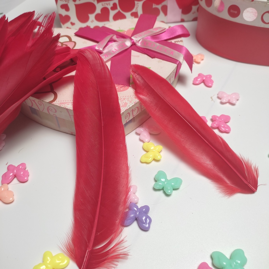 [Hàng đẹp, mới 100%] Lông vũ to 15-20cm nhiều màu, Pinky Shop phụ kiện dreamcatcher, mã LV04