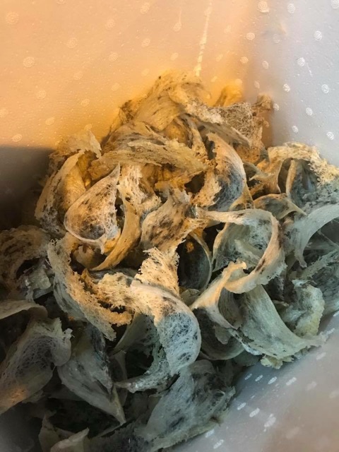 Yến sào Cần Giờ