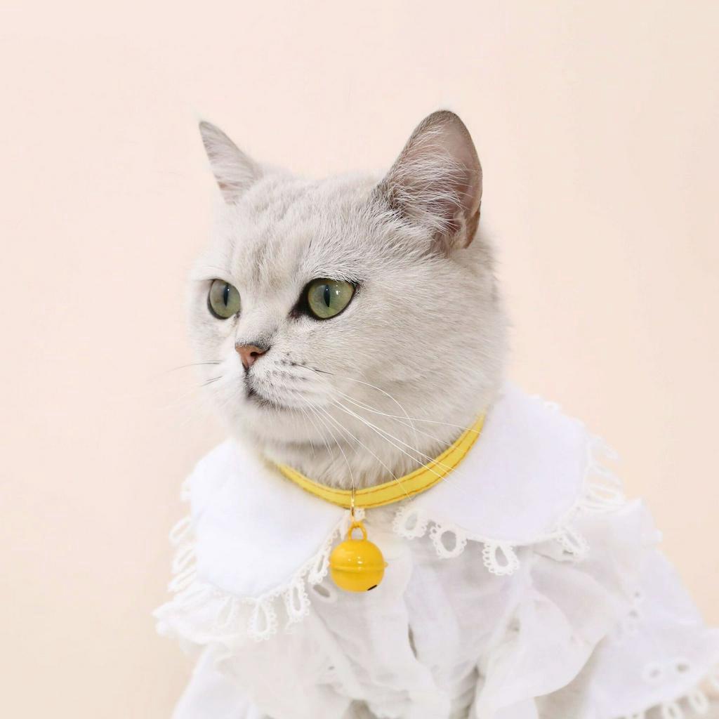 Vòng Cổ Có Chuông Nhiều Màu Cho Thú Cưng