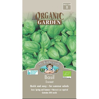 Hạt giống húng tây (Basil)