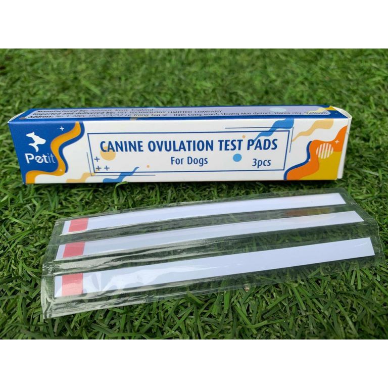 Canine Ovolation Test – Que Thử Rụng Trứng Cho Chó