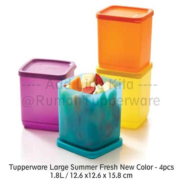 Bộ hộp bảo quản thực phẩm Large Summer Fresh (4) Tiện Dụng