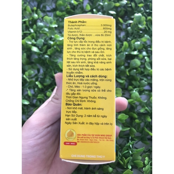 Đặc trị tiêu chảy- nôn mửa / trợ sức - tăng lực Win group