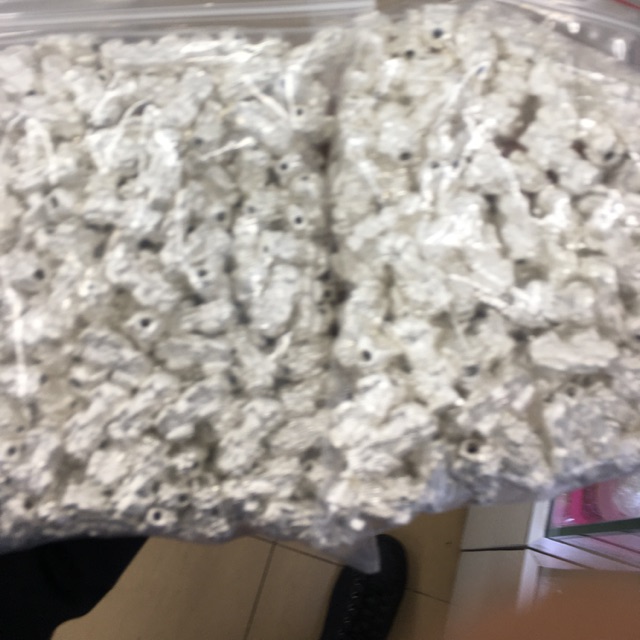 Tỳ Hưu Bạc Nhập