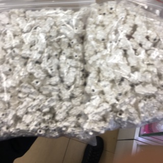 Tỳ hưu bạc nhập