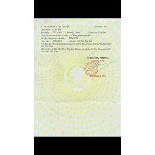 Bộ Khóa Trắng Mocha - Bật tone sau 30 phút